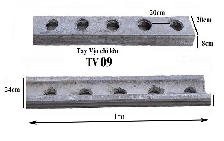 TV09 chuẩn